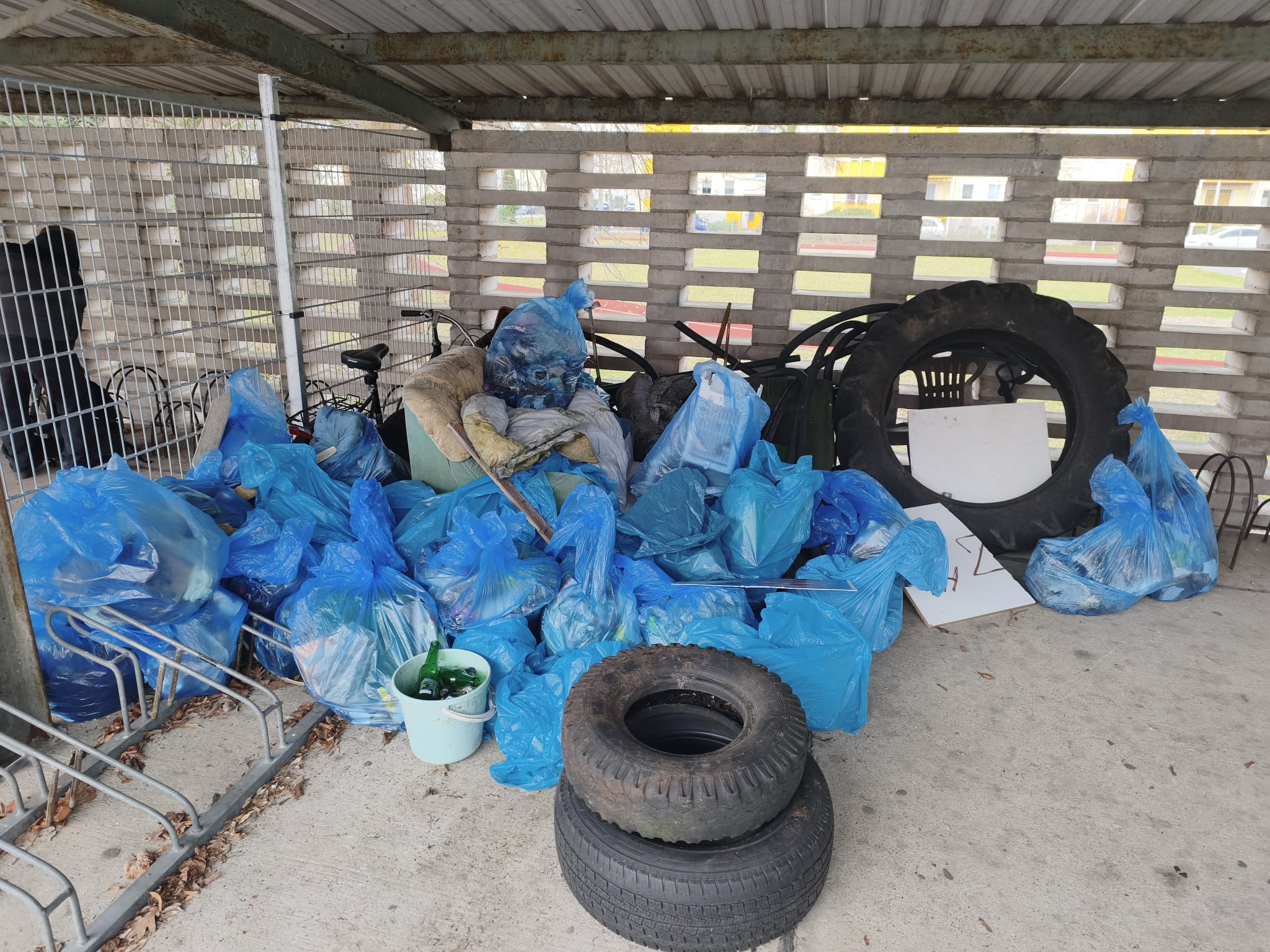 WhatsApp Image 2026 03 27 at 12.15.47